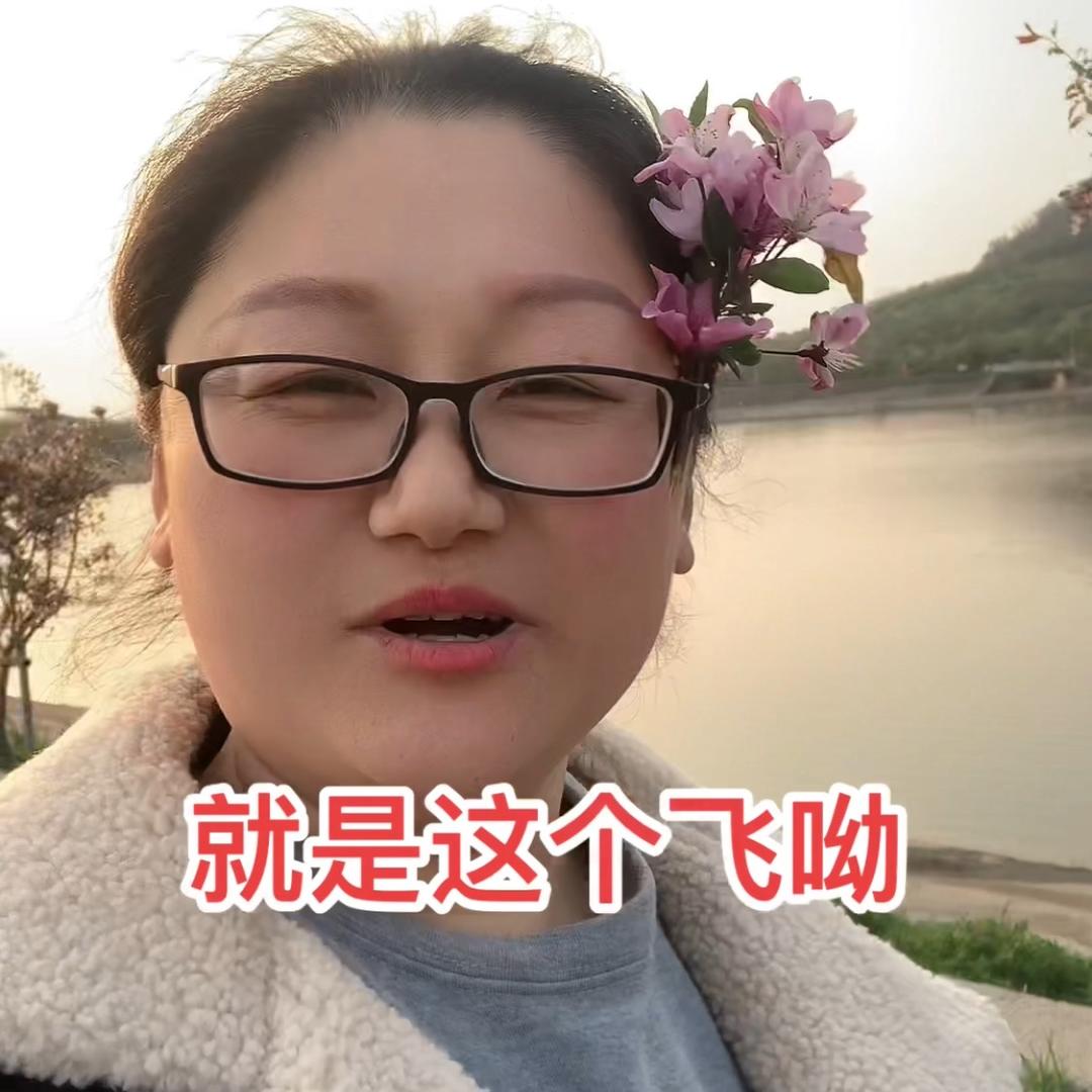 周周到家（培训咨询）