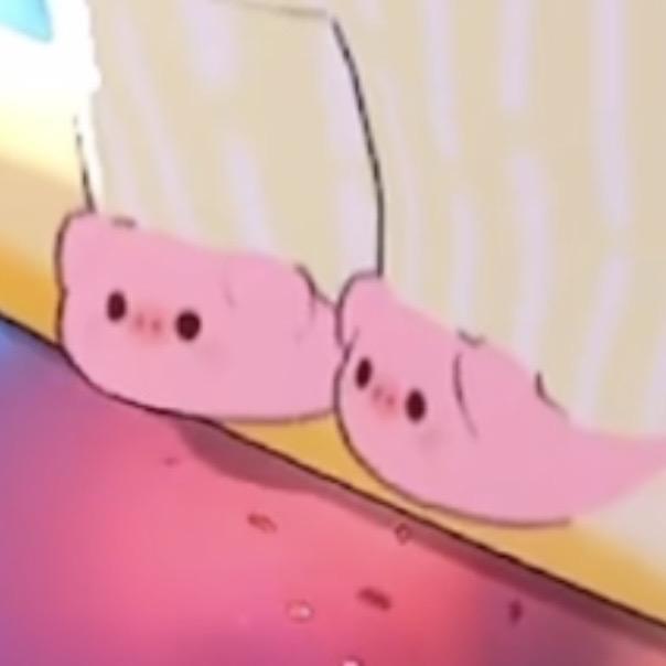 🐽Biubiu¹