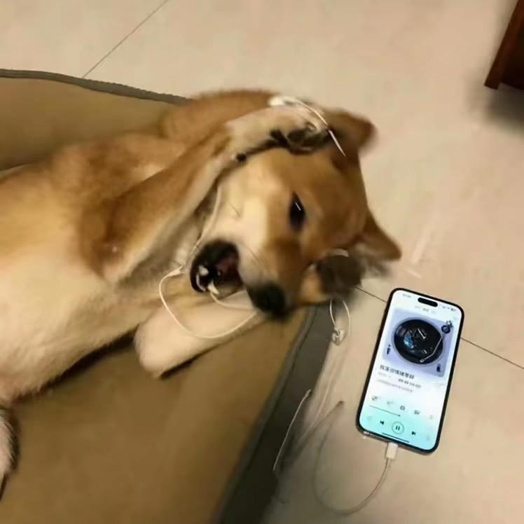 -下周五