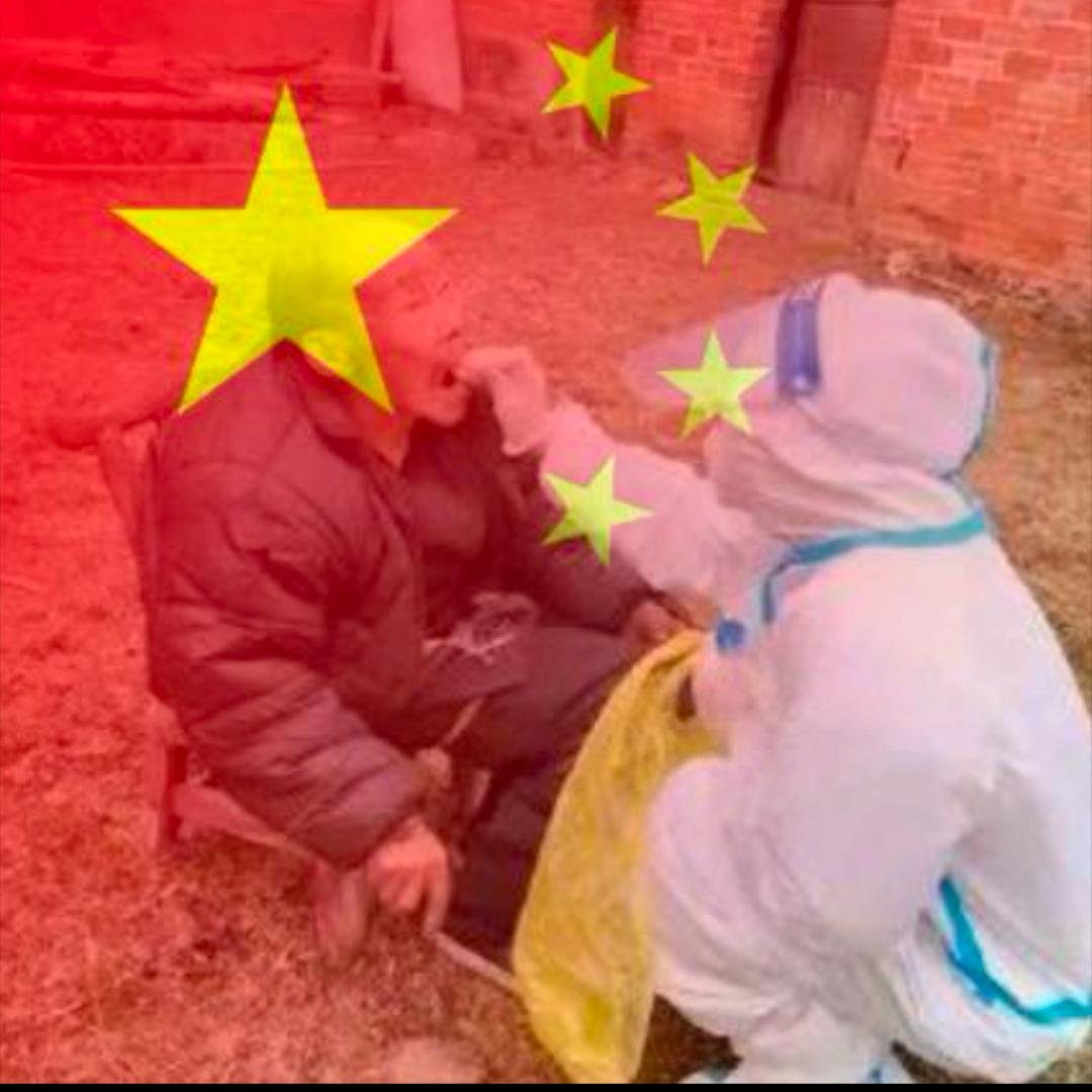 我爱做核酸🇨🇳