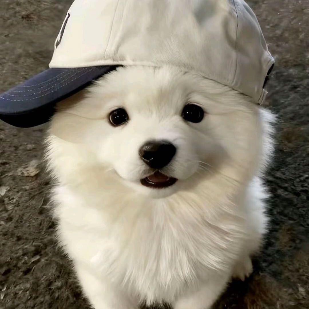 我才不哭鼻子呢