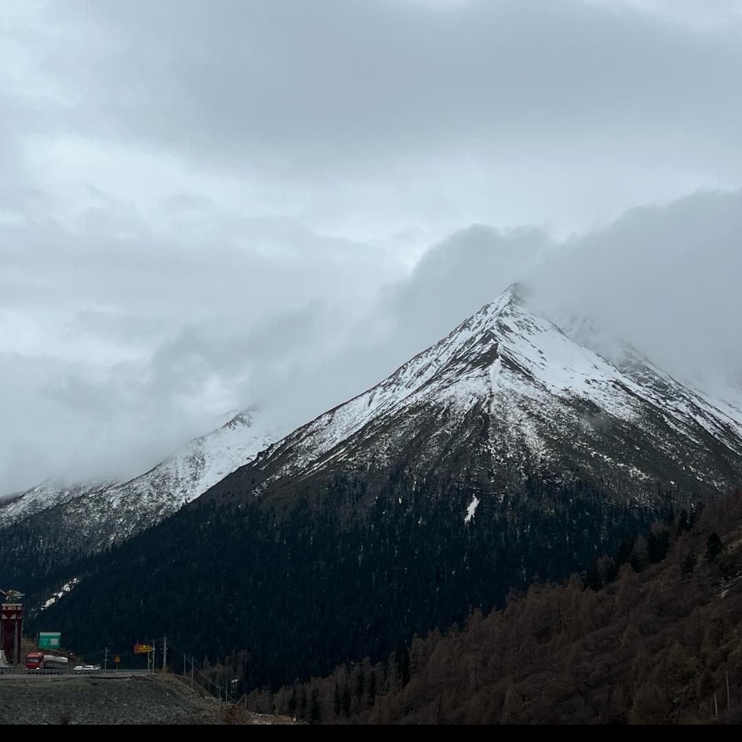 小涛