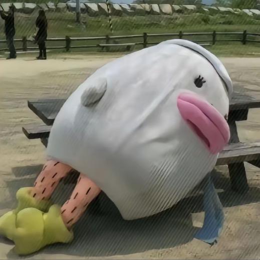 南.@抖音