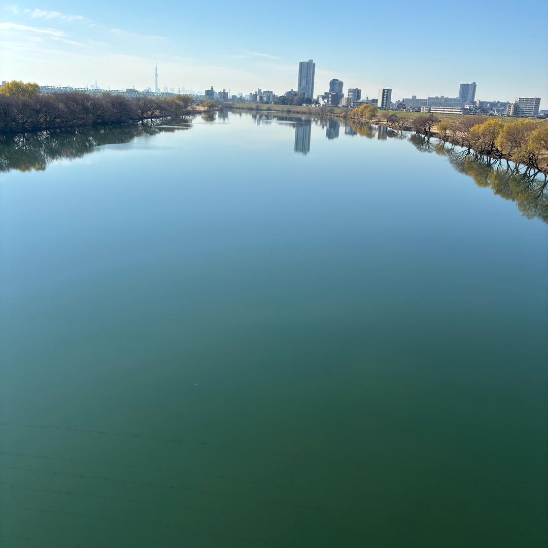 大海