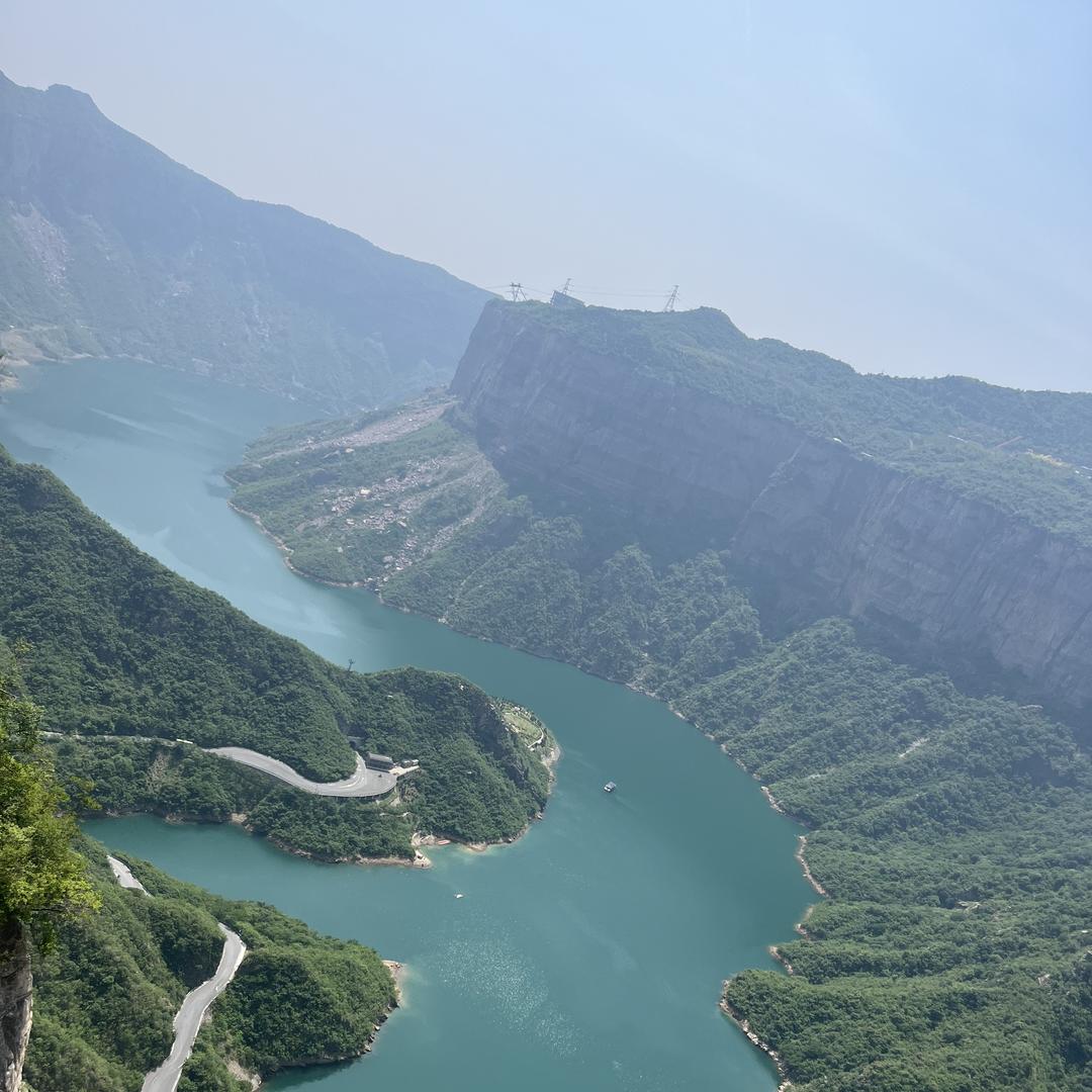 嘉瑶说百草-泰瑄