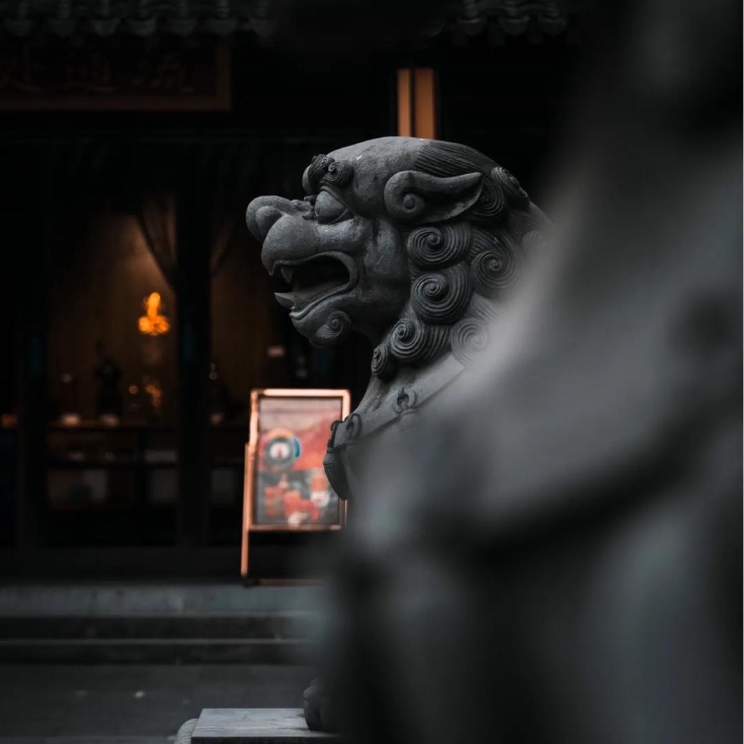 🌊麦田里的守望者