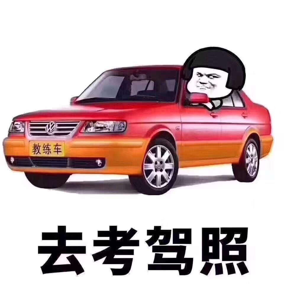 驾驶员培训