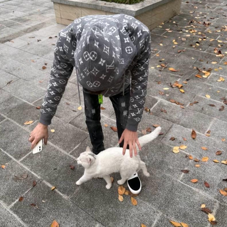 晚了个安