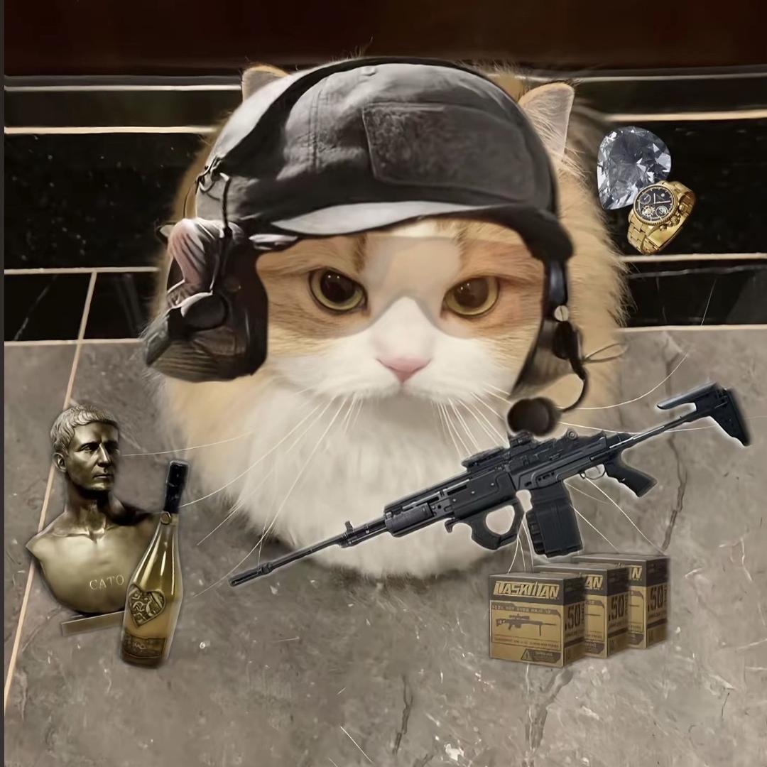 11（三角洲行动）