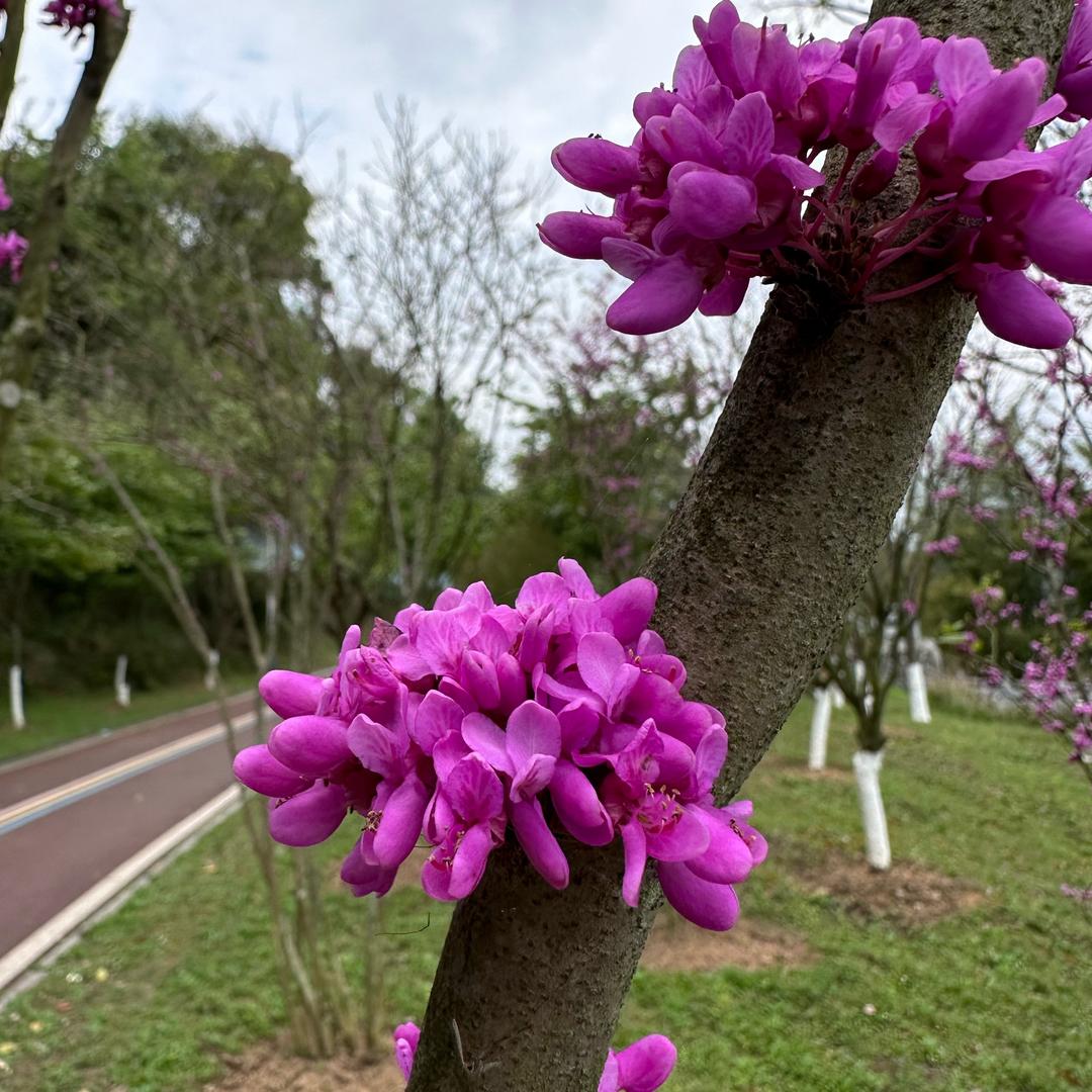 龙领方向