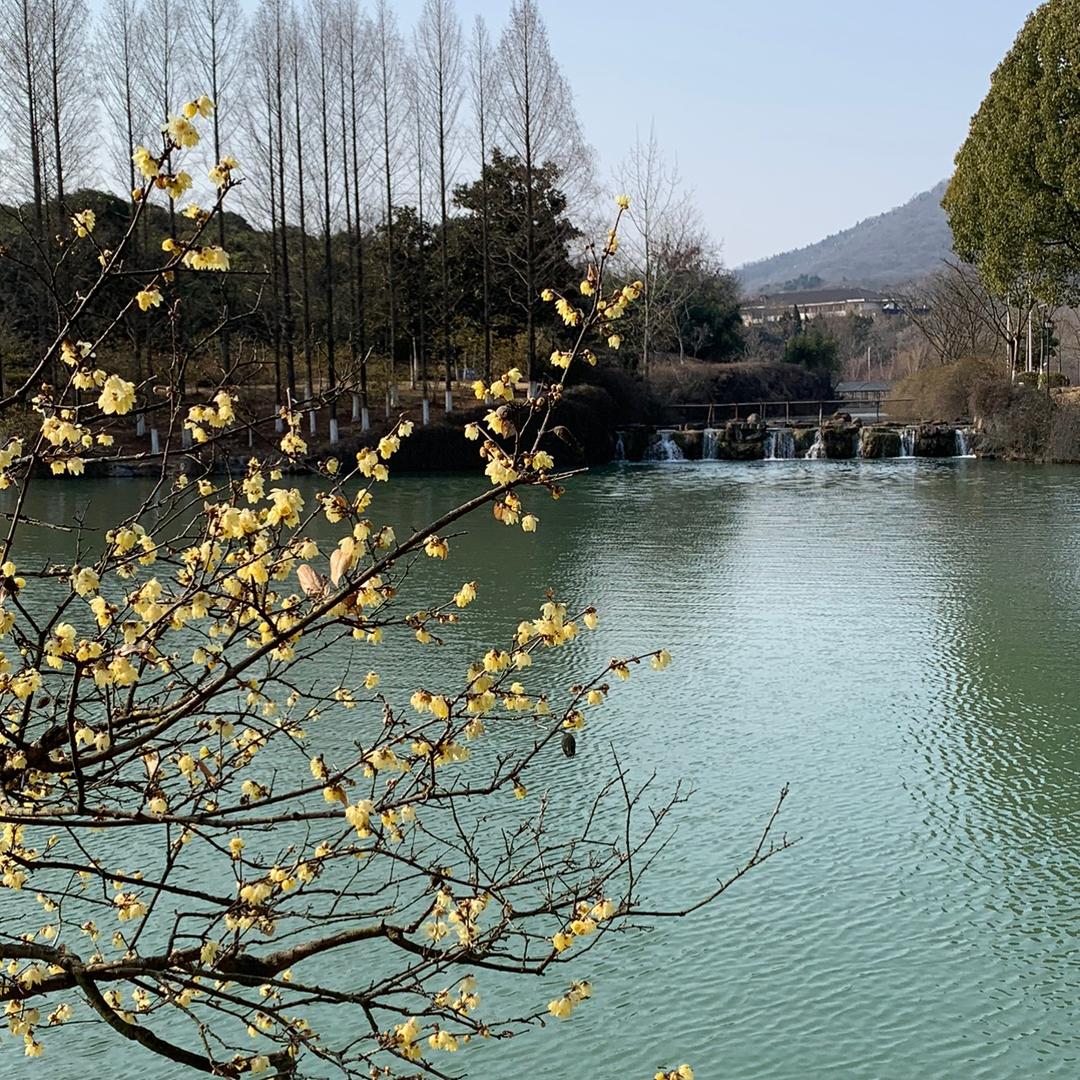 小木棕家居