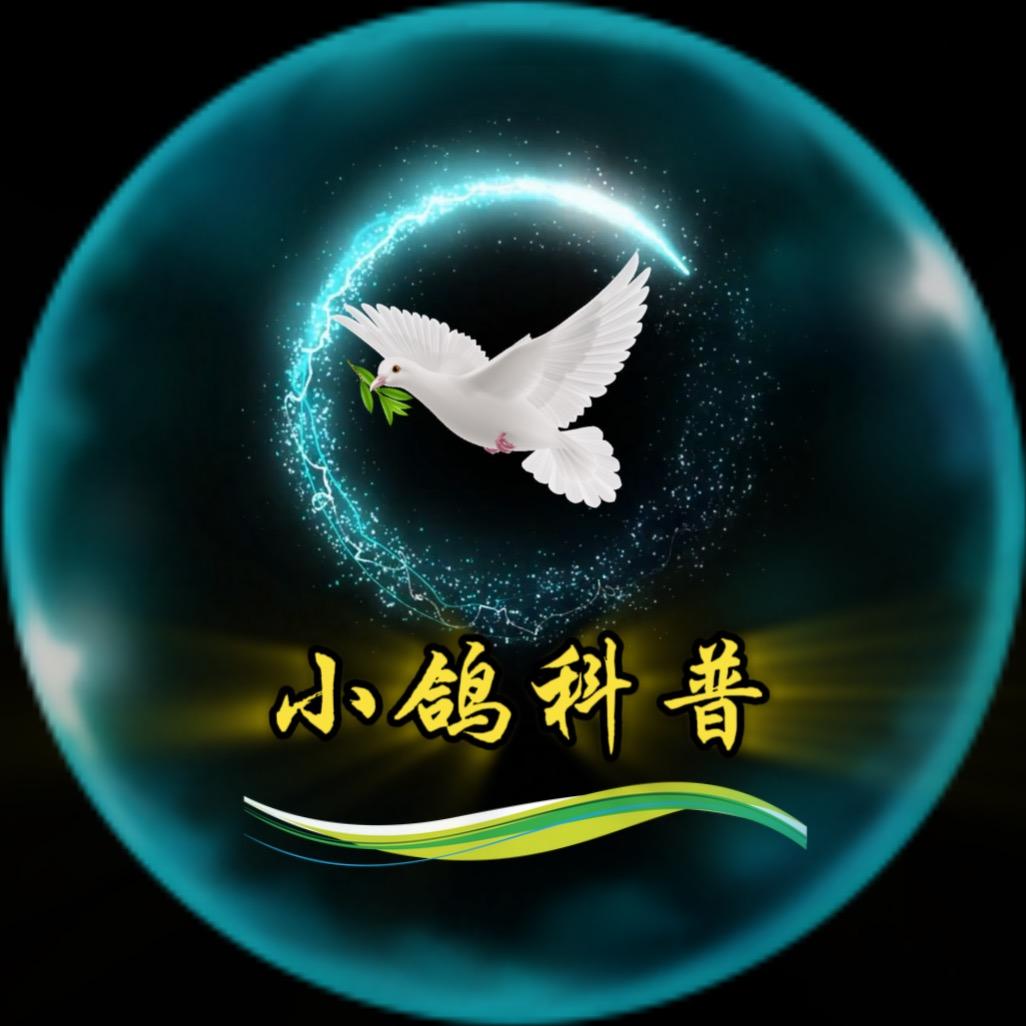 小鸽科普@抖音