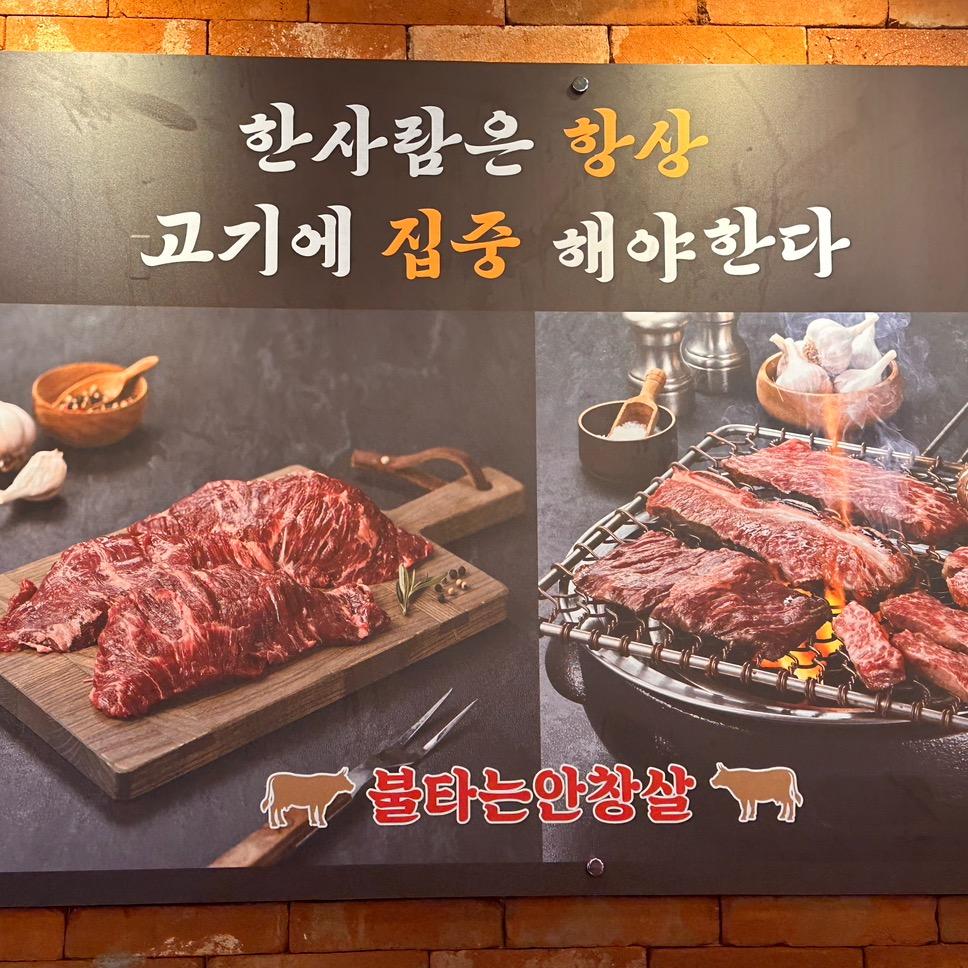 🔥불타는안창살🔥在韩分享日常东北人）