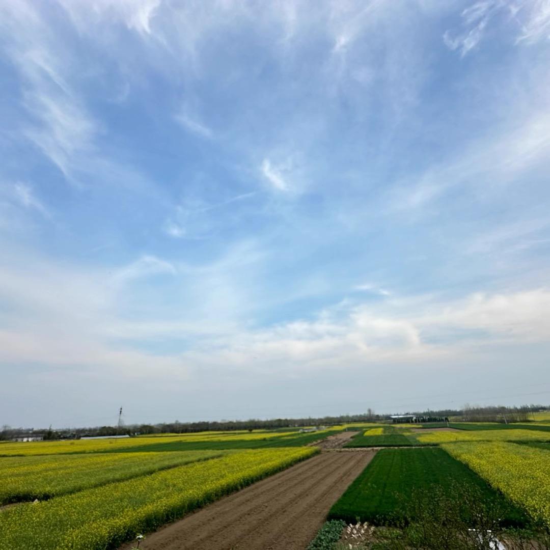 武汉线🌾u