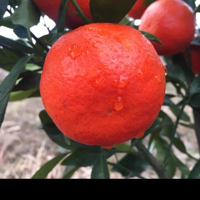 君子爱财，取之有道。