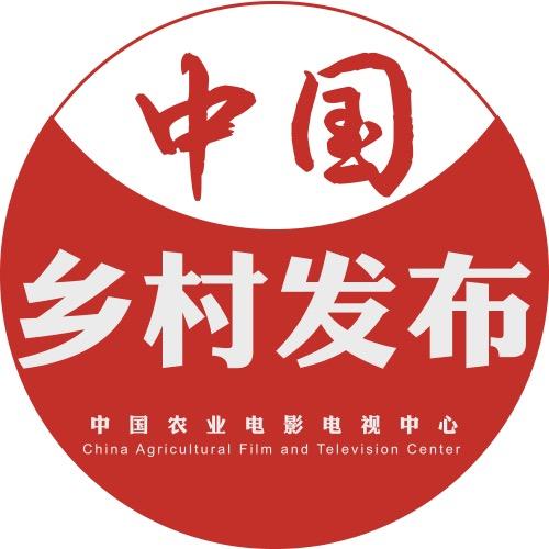 中国乡村发布