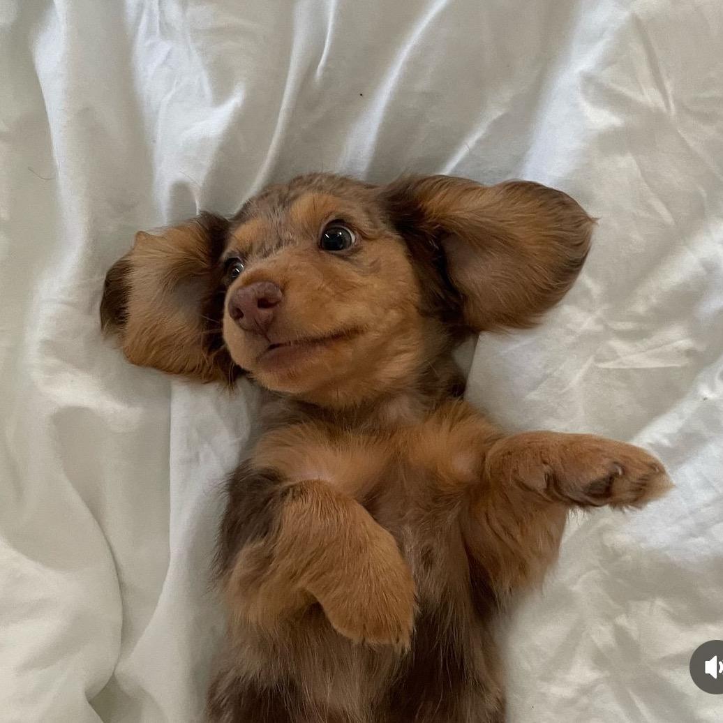 888次出逃小人机