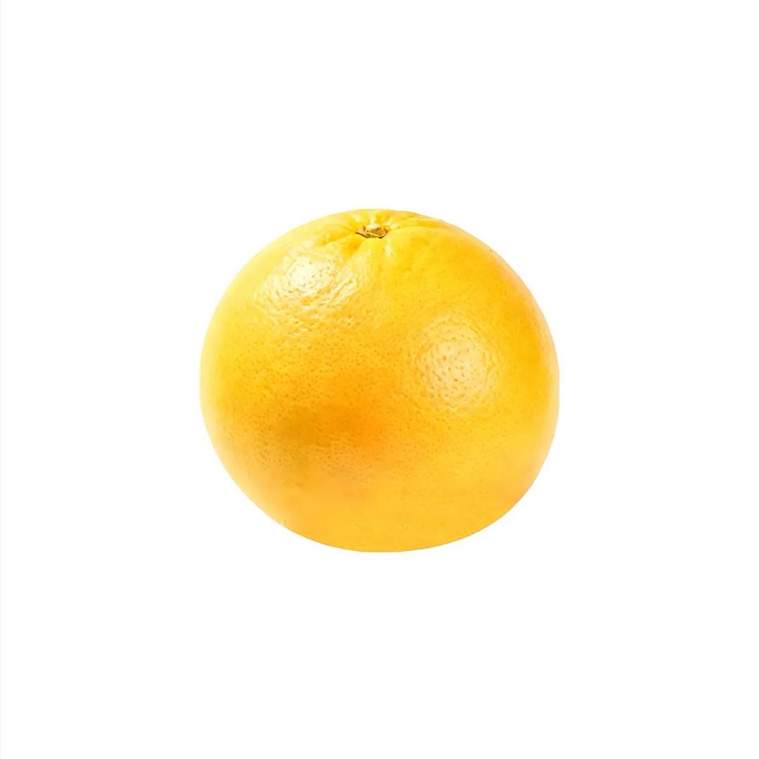 郁金香.