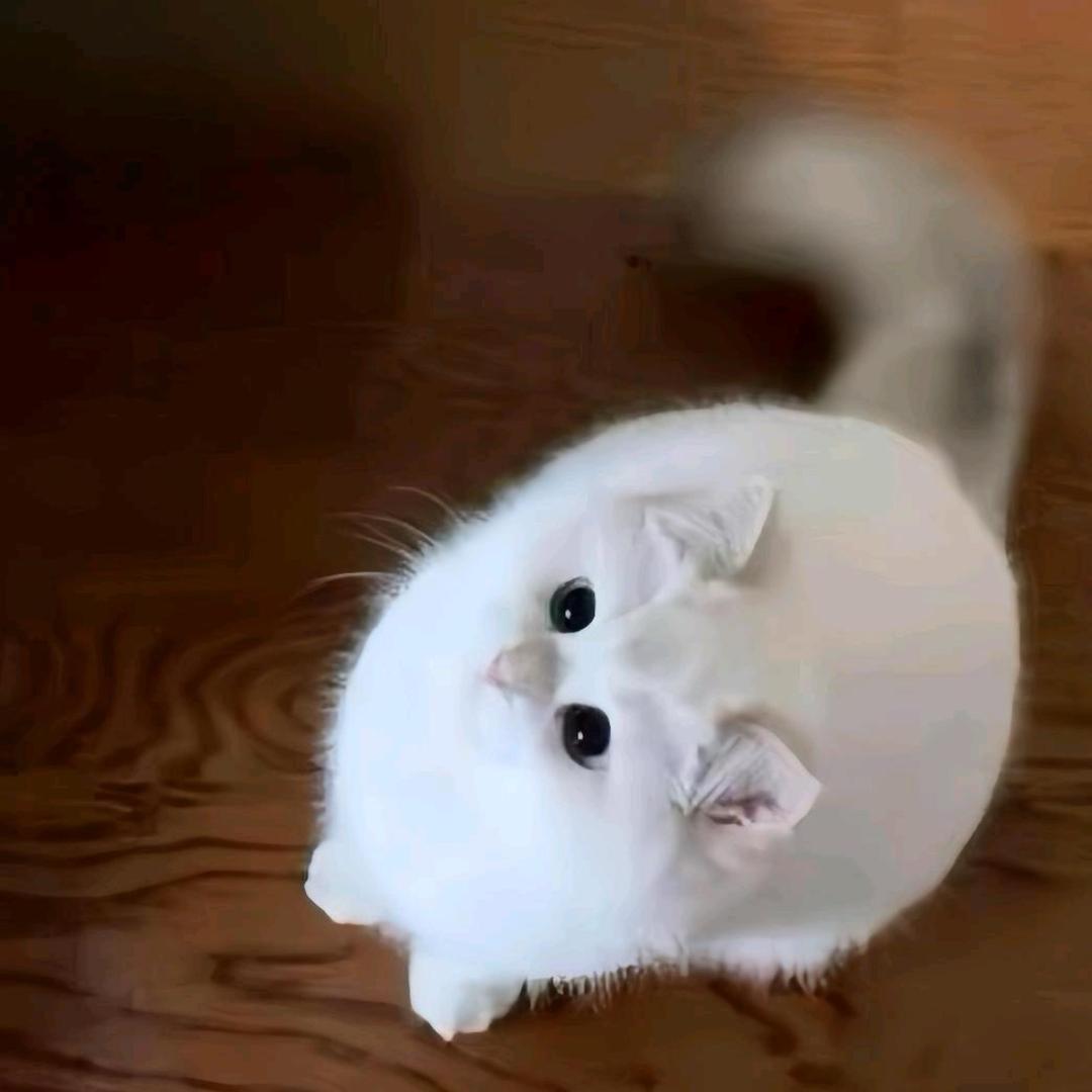 ㅤ ㅤㅤㅤ让世界充满爱
