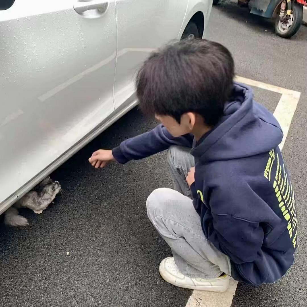 回家看看
