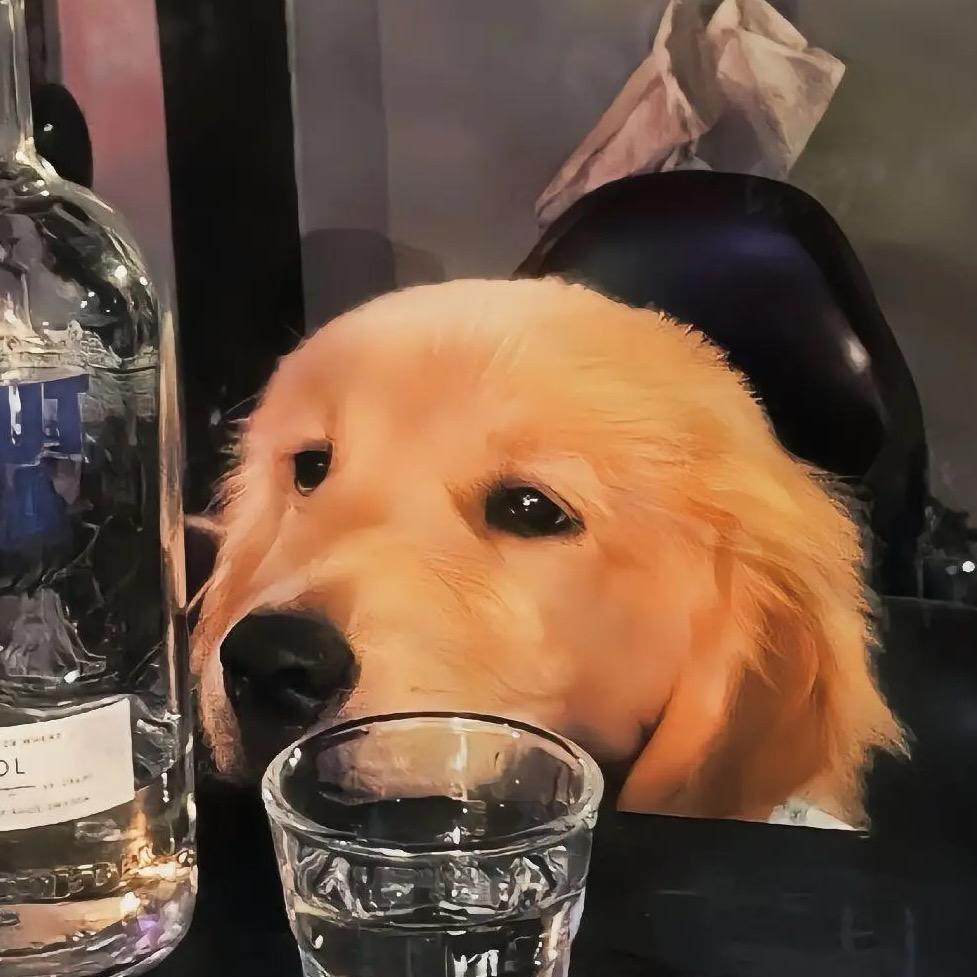 特离谱的网民
