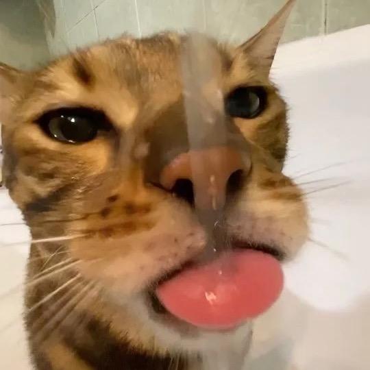 啊啊啊啊啊