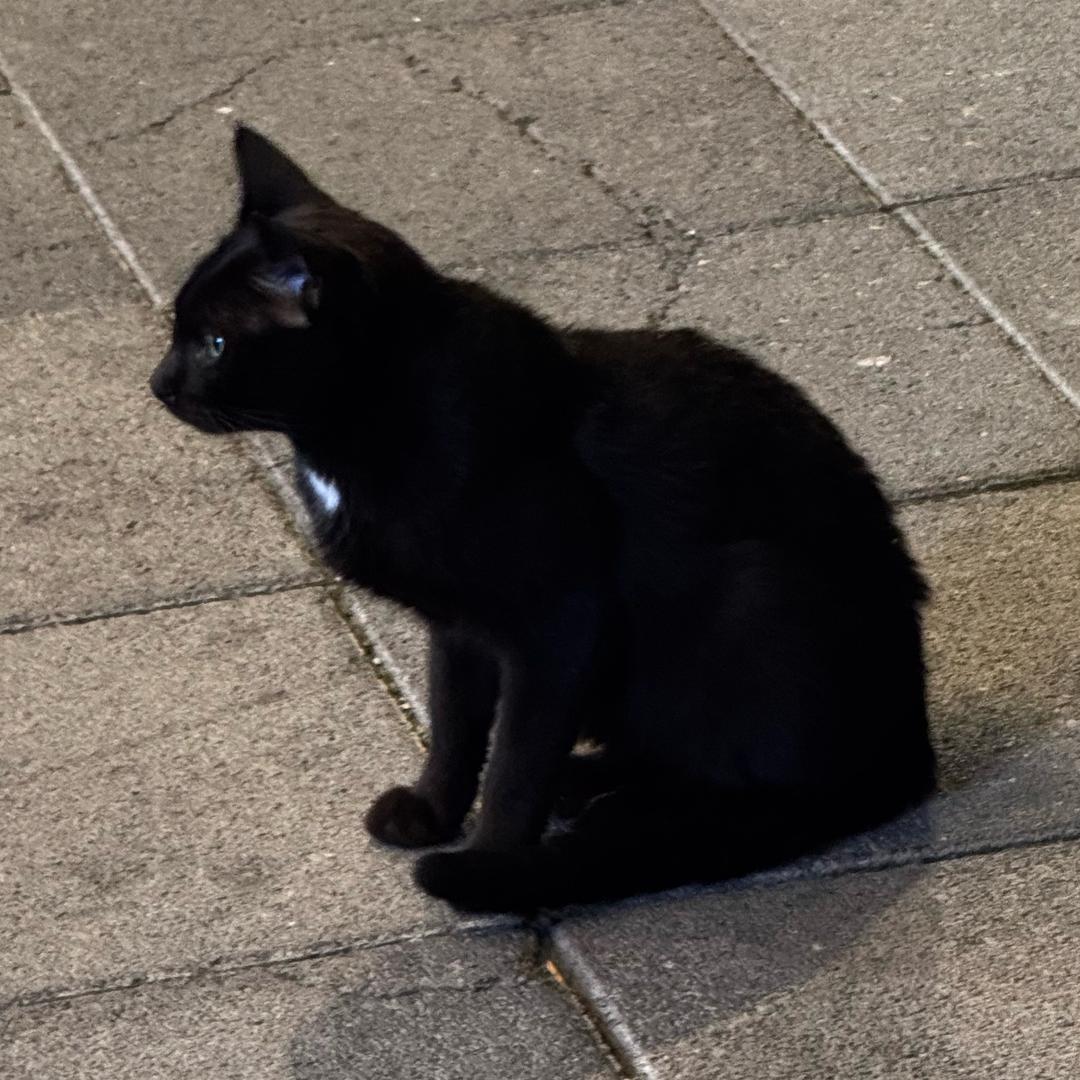 我还没吃饭呢！