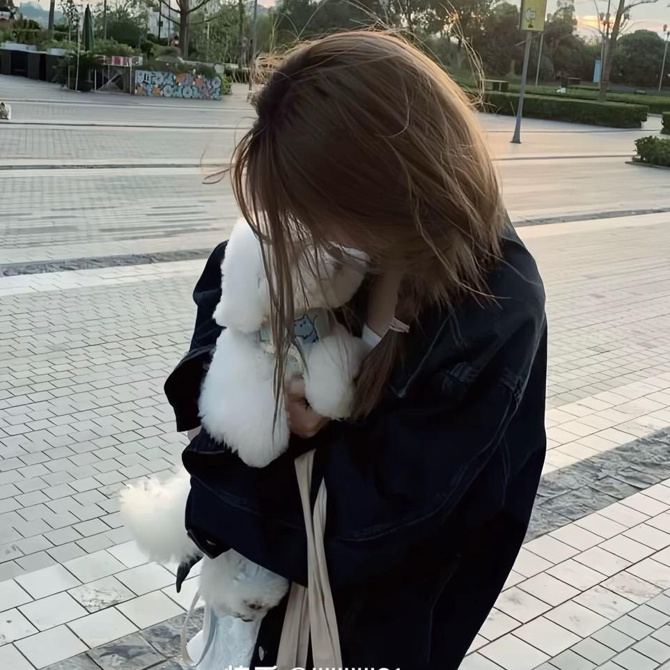 一支忧郁的玫瑰💕