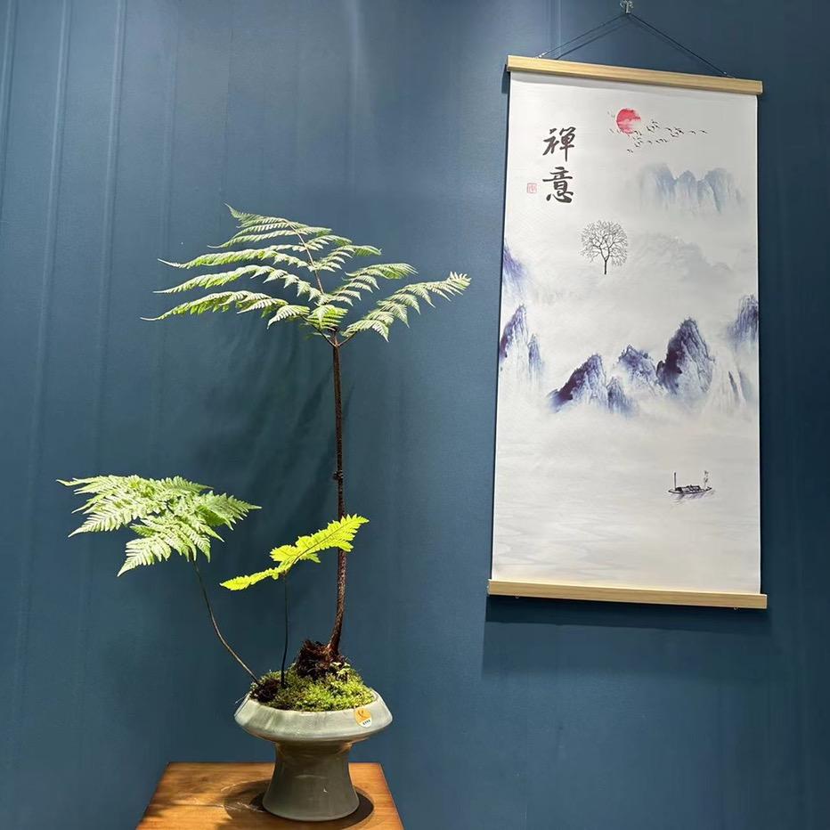蕨艺小家（可批发零售）