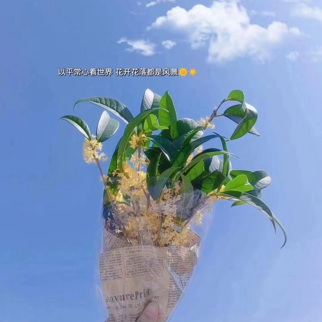 是米粒儿啊