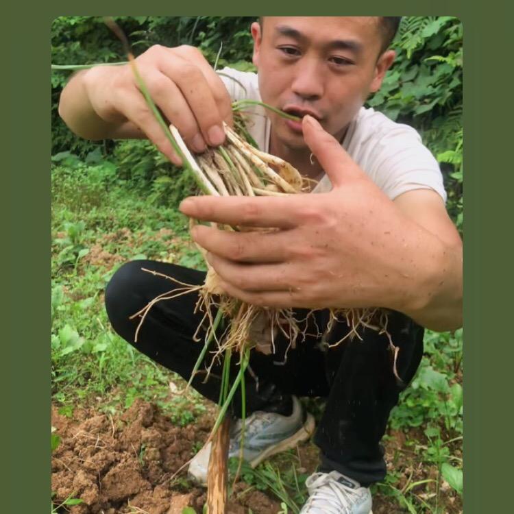 乡情小方