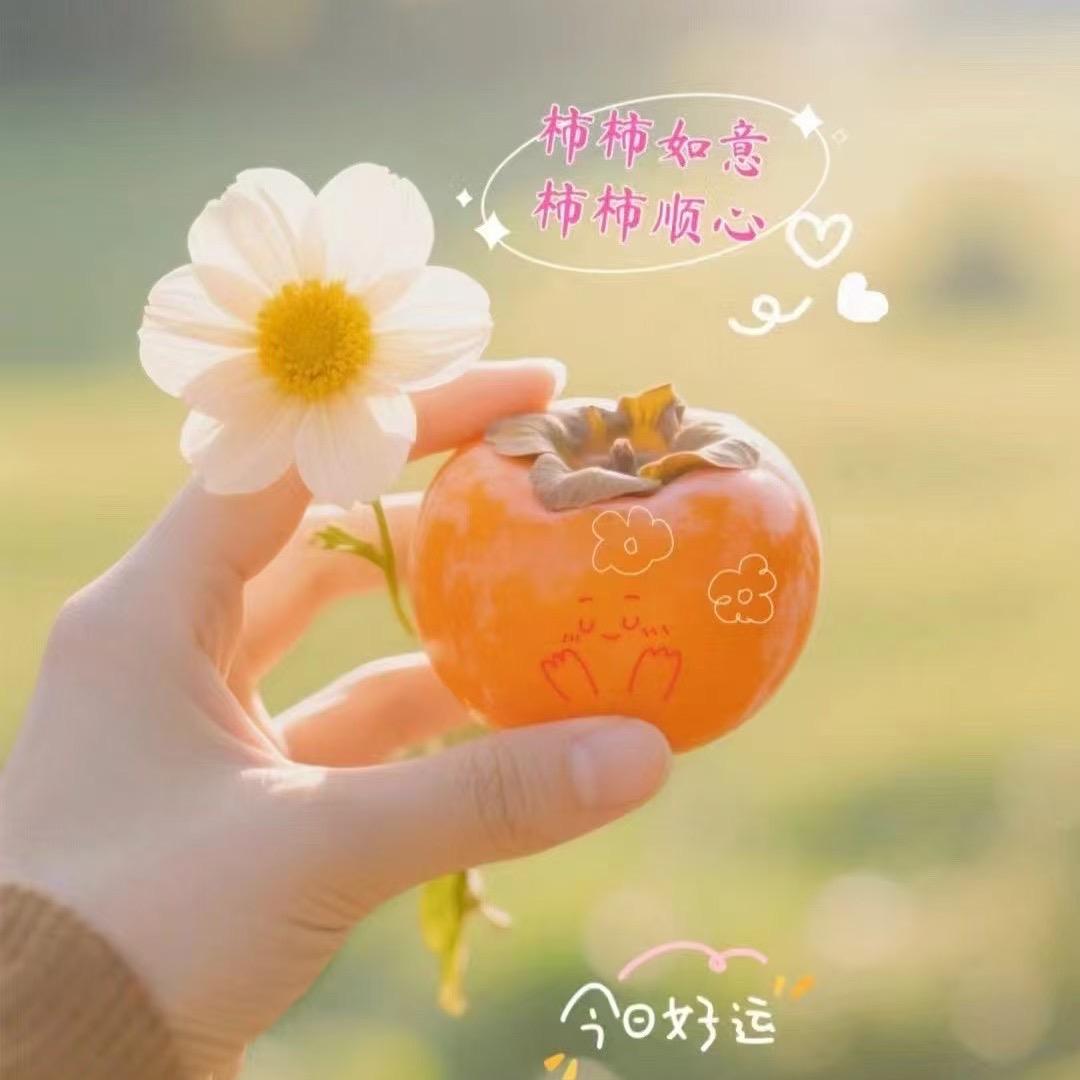 淘系运营春天