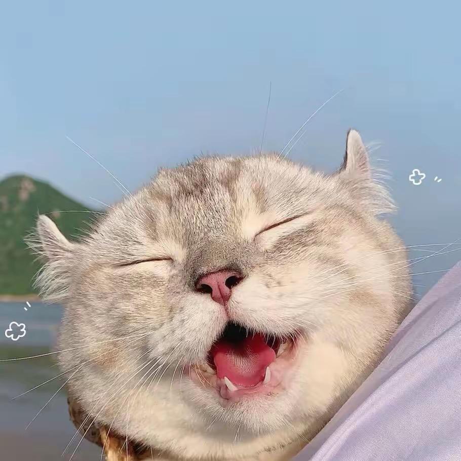 单亲丽丽
