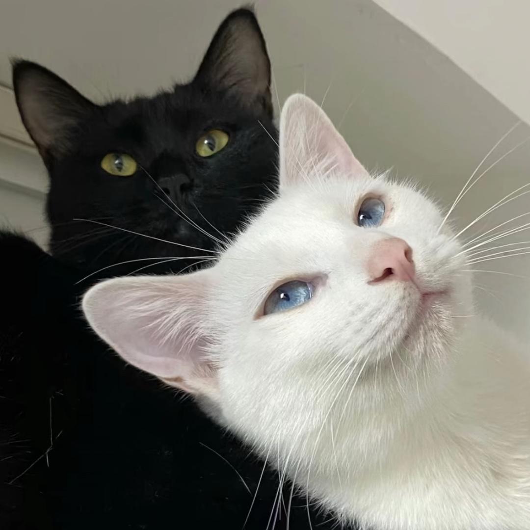 ㅤㅤㅤㅤㅤ 𝓦———