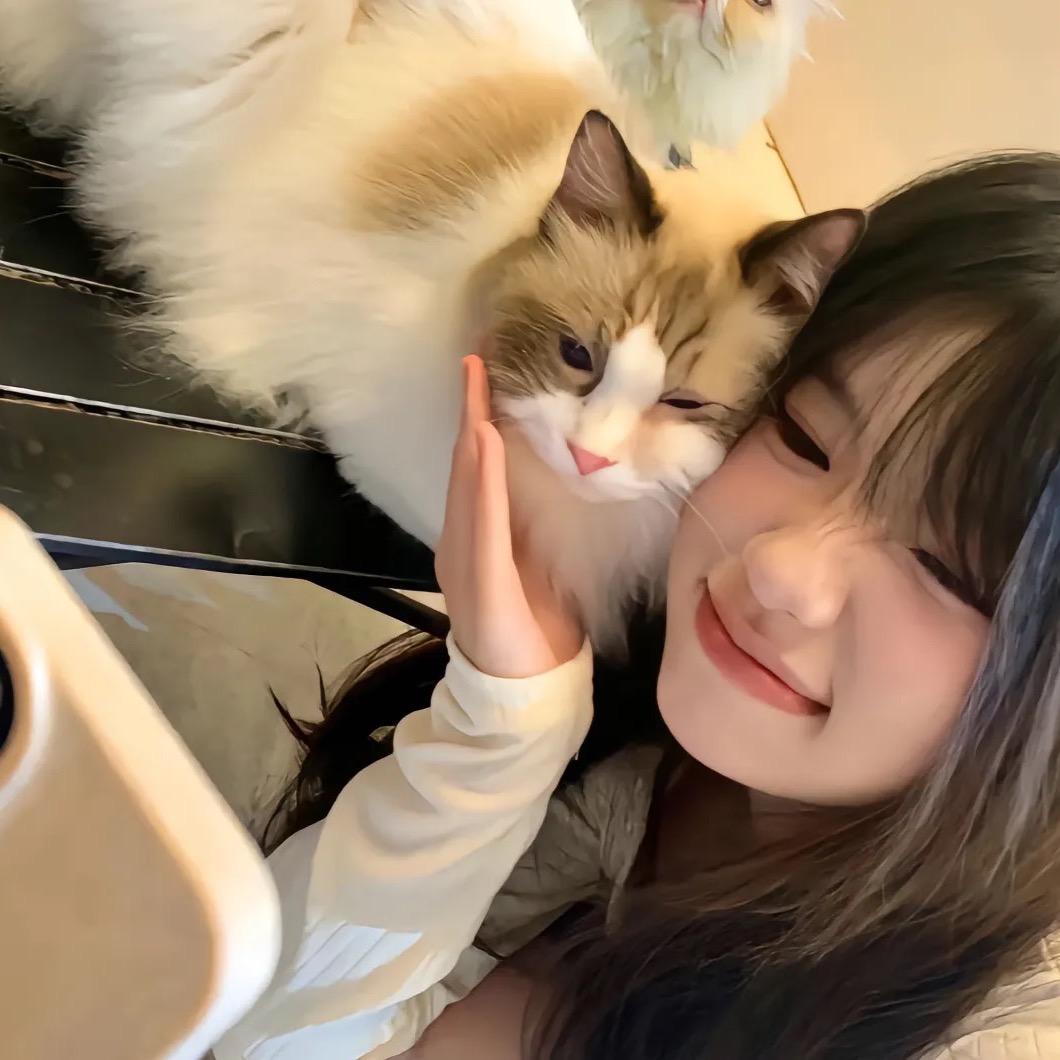 Qq软糖