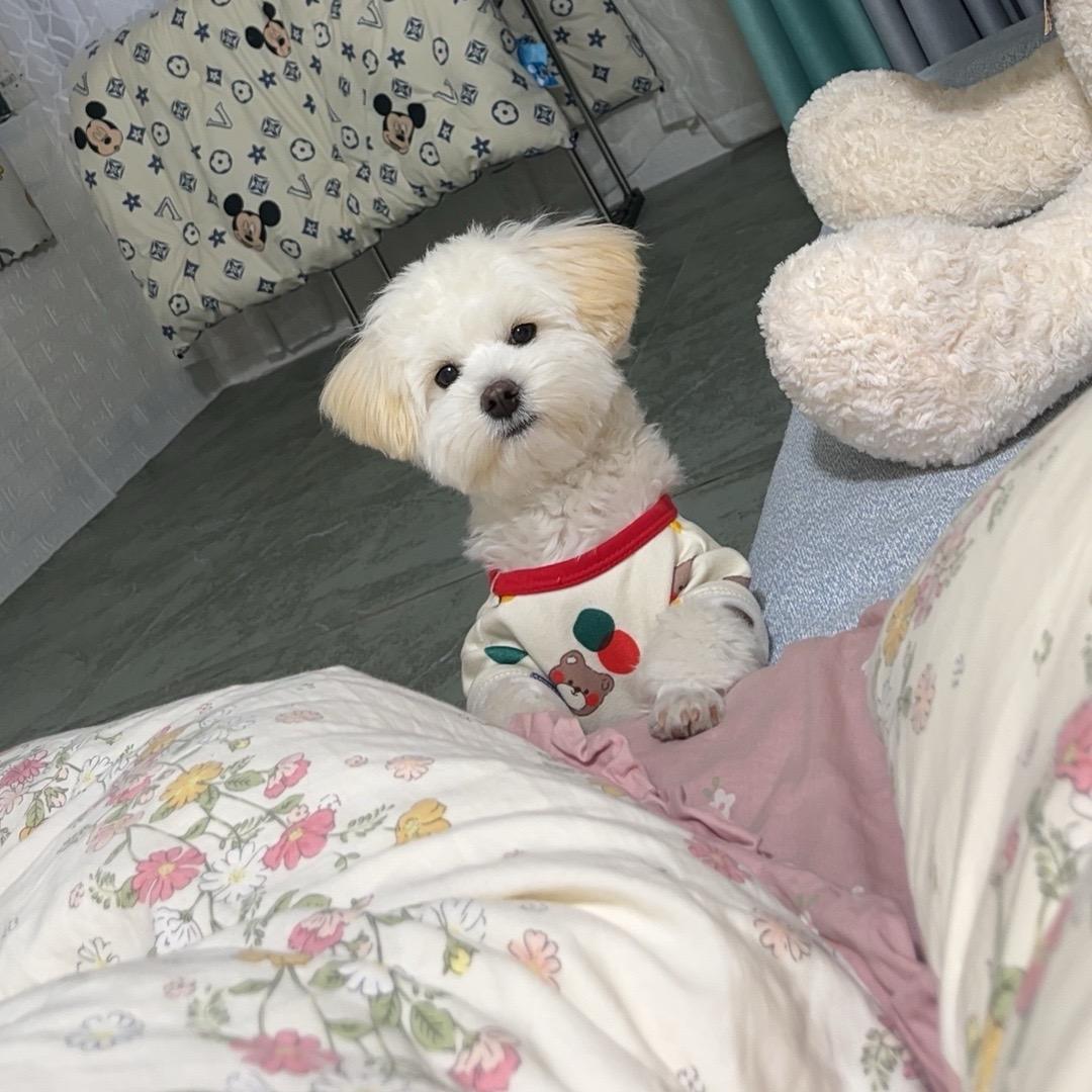 💞༊ღ᭄安然💕