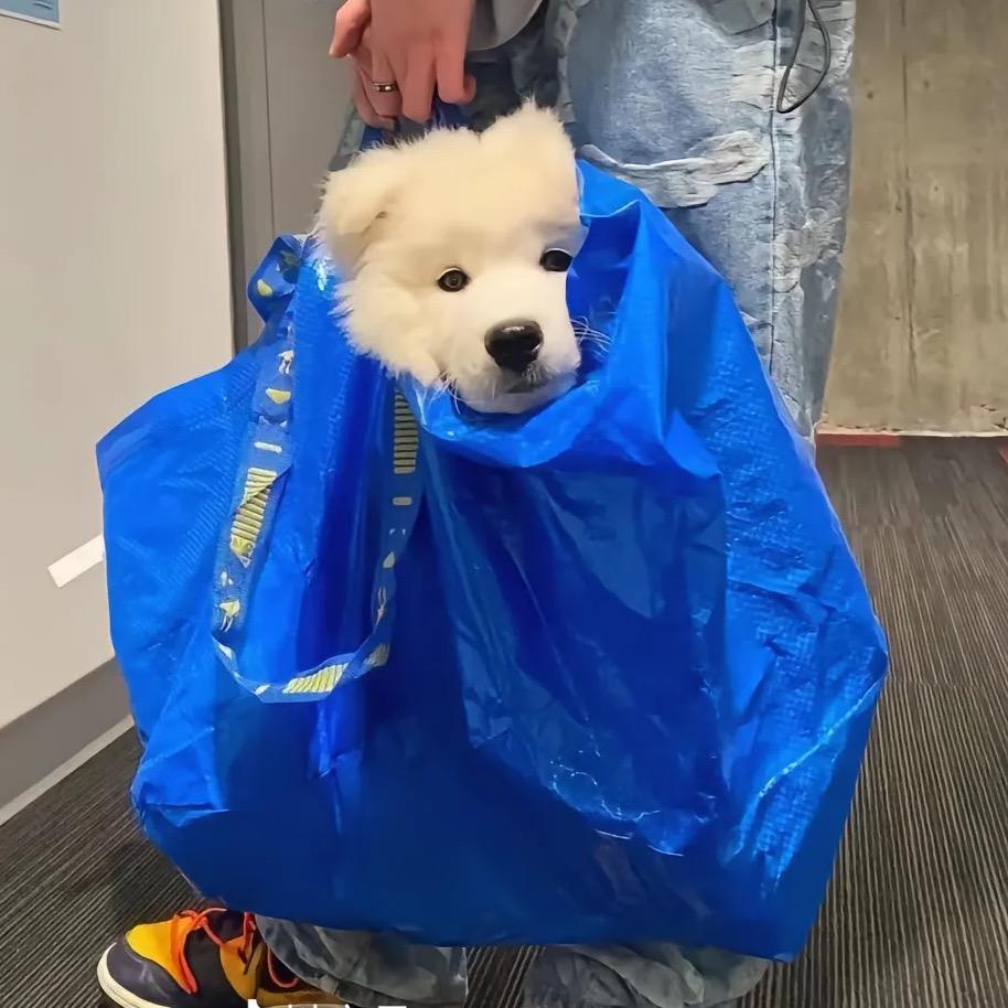 马后炮