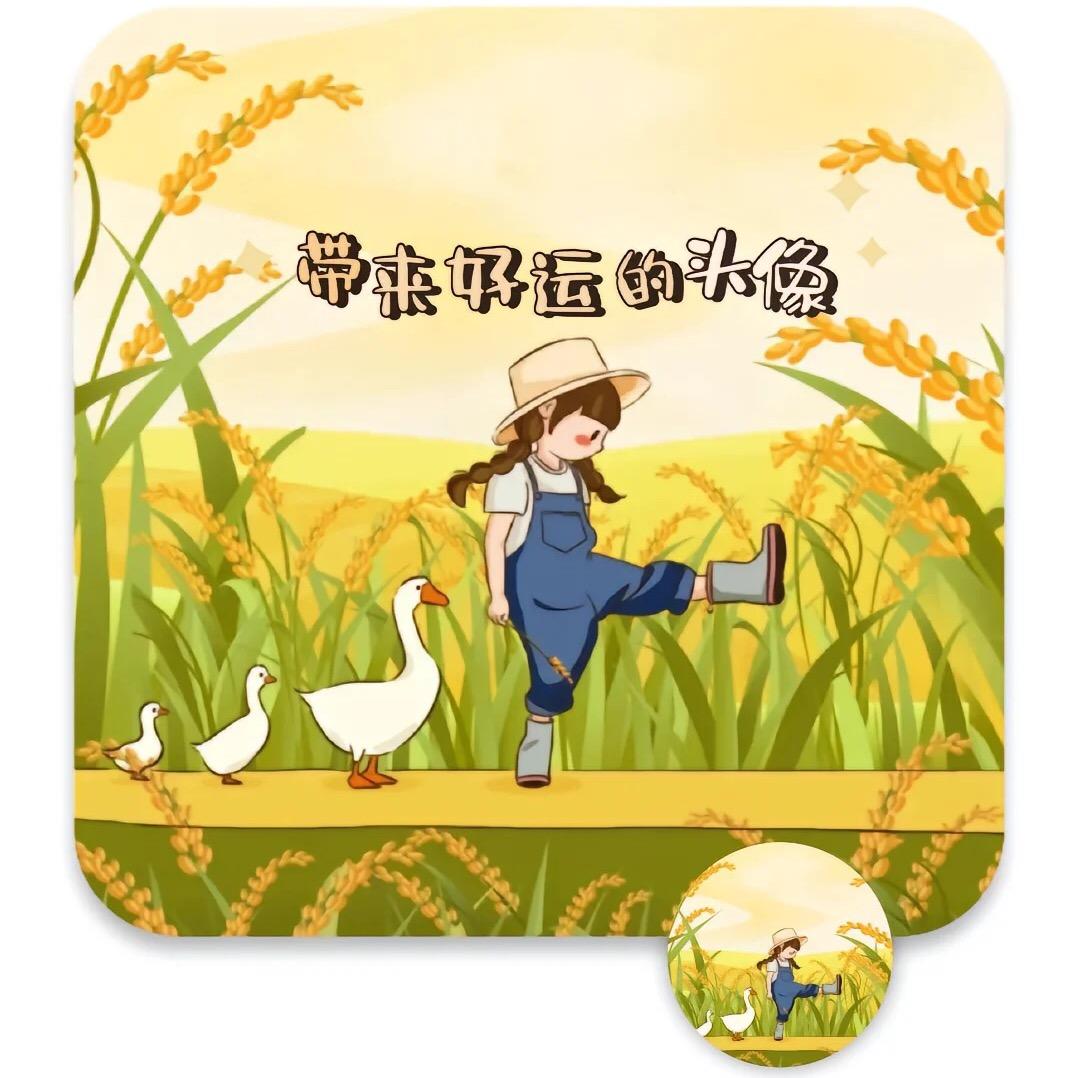 迷你小达人