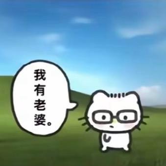 小宇的影豹📷