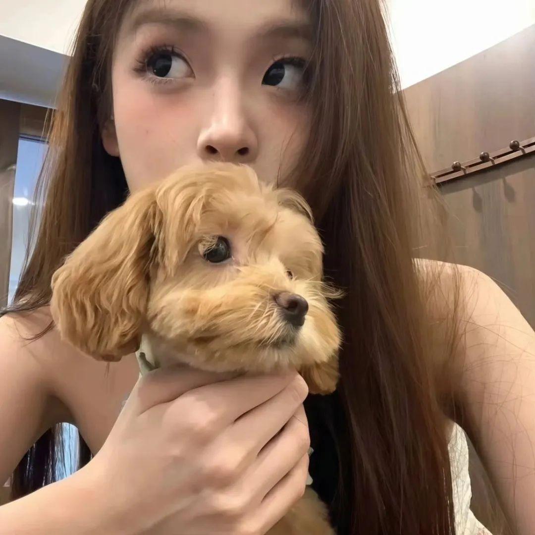 么凹猫.