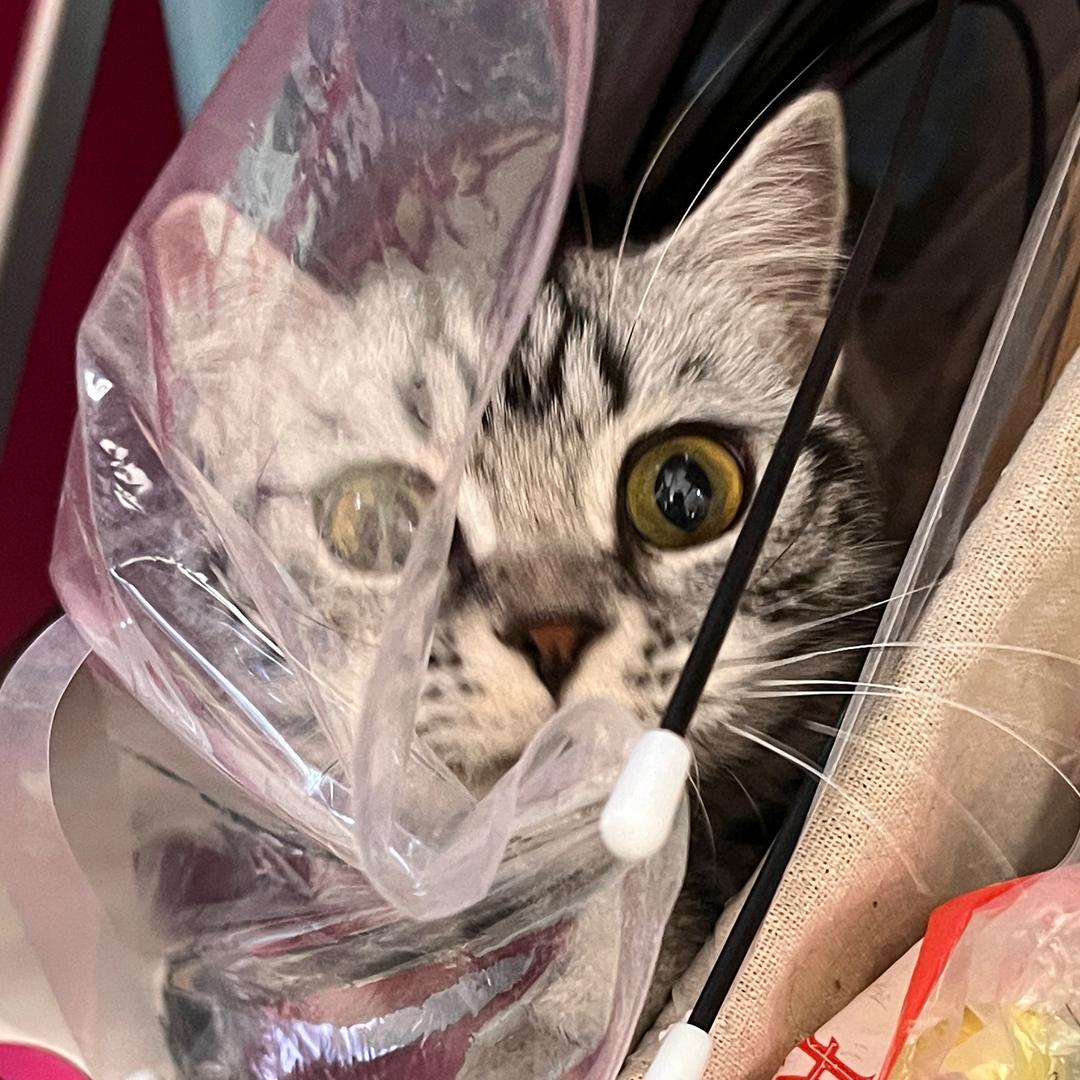www.