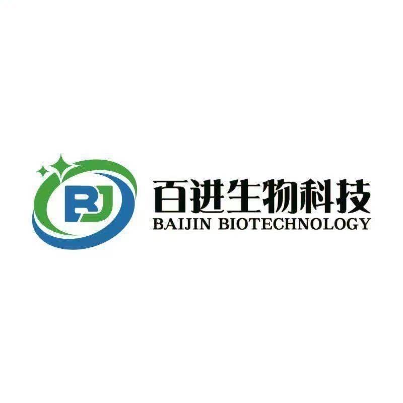 百进冰倩