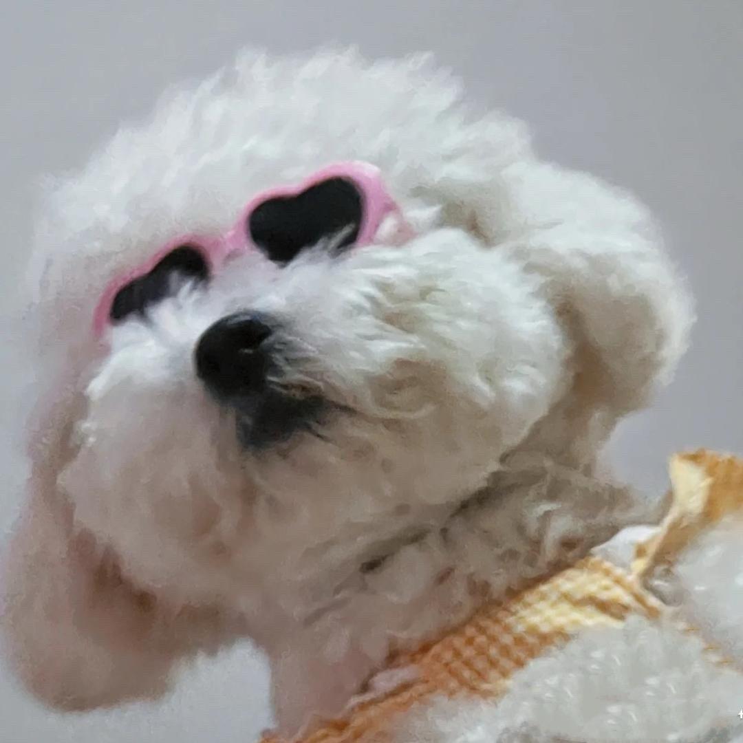 娜娜不是辣辣ya