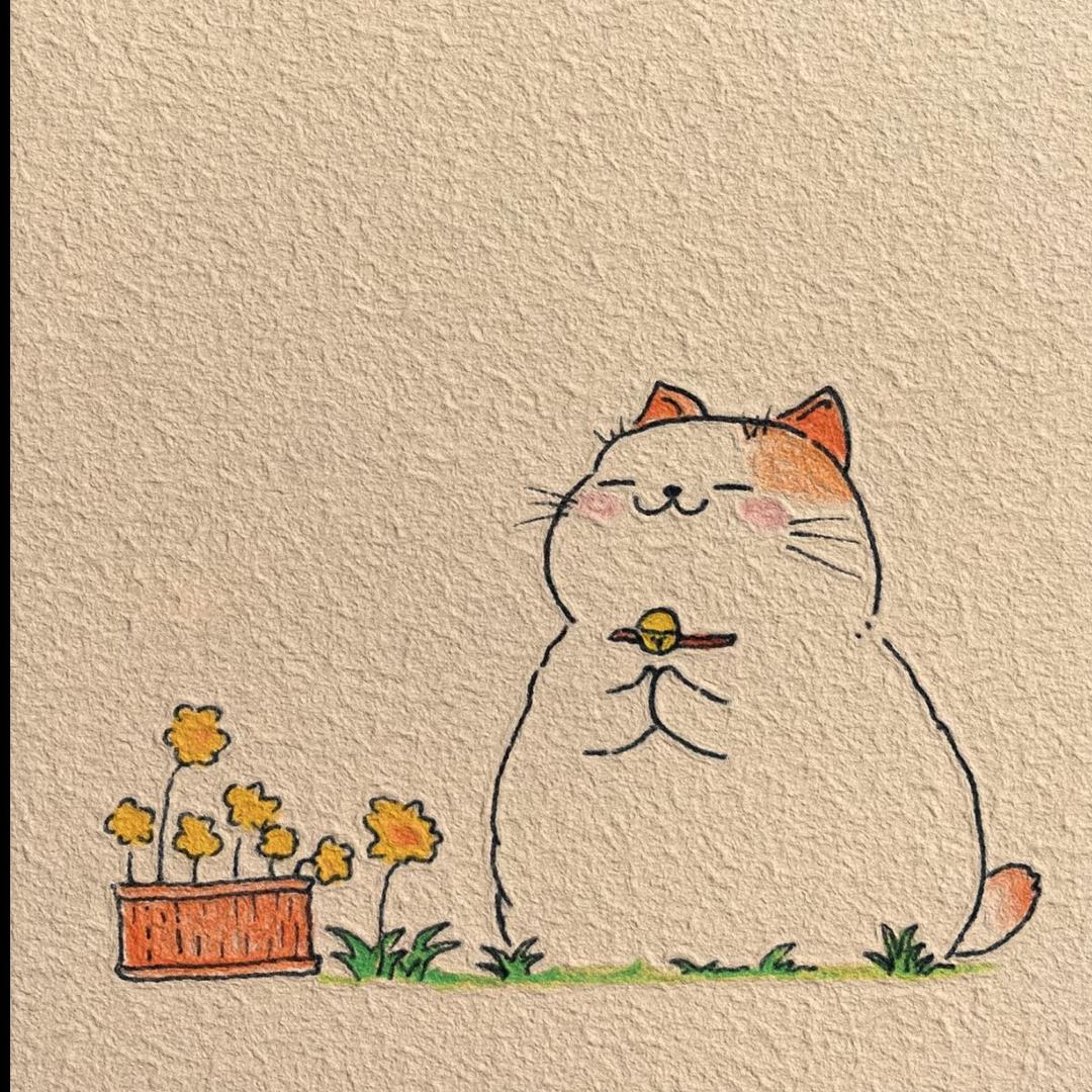 七烨