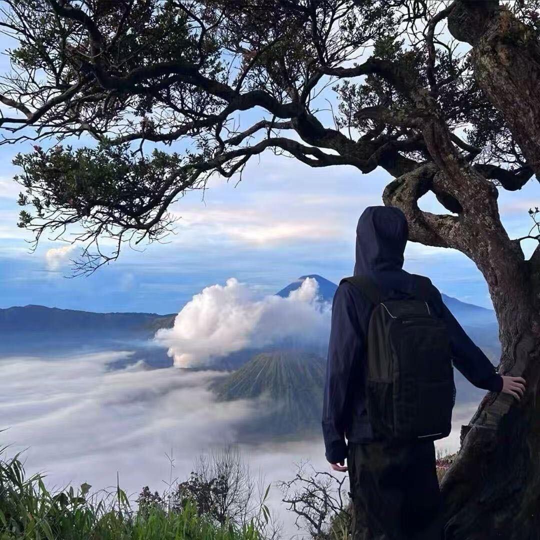 Tao