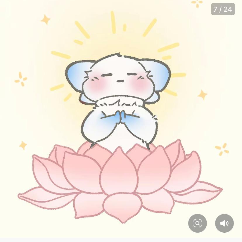 张张好物分享🌷