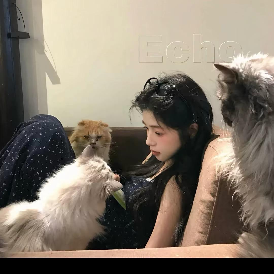 犯困蛋挞🫧