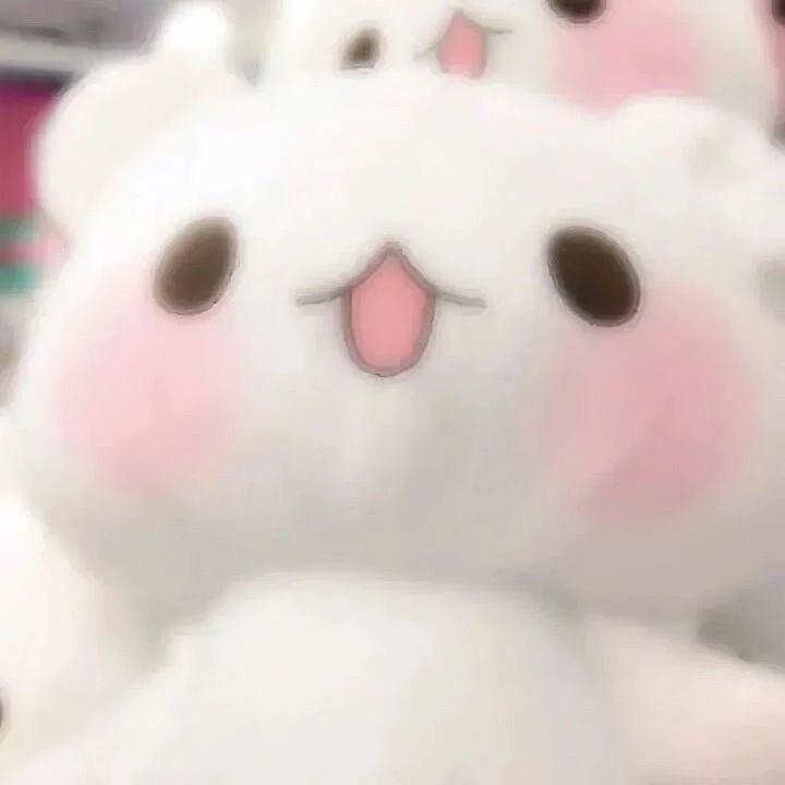 大家装不认识我吧