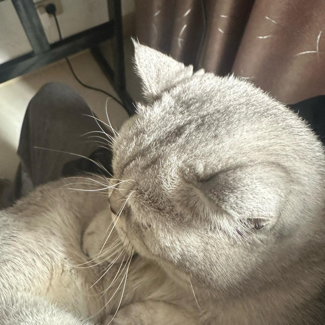 秋水