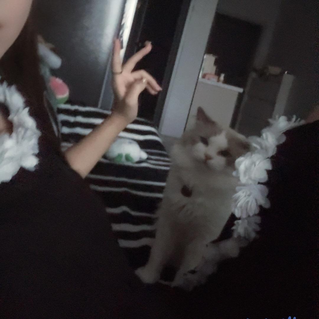 小北